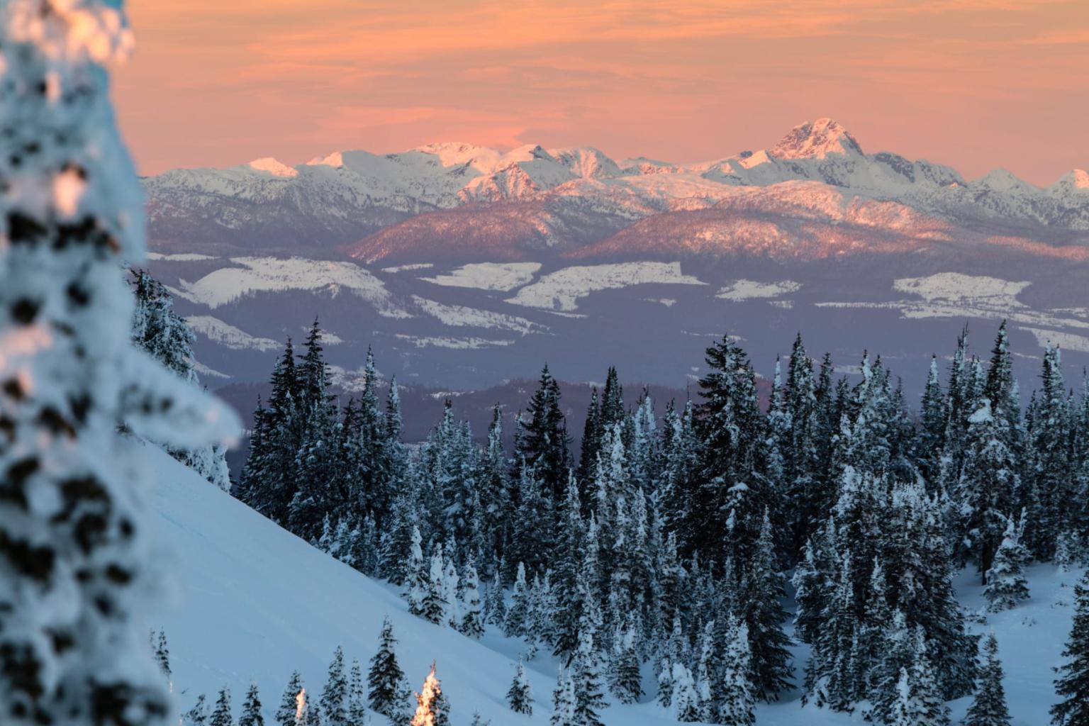 Snowy mountains and forest at sunset.