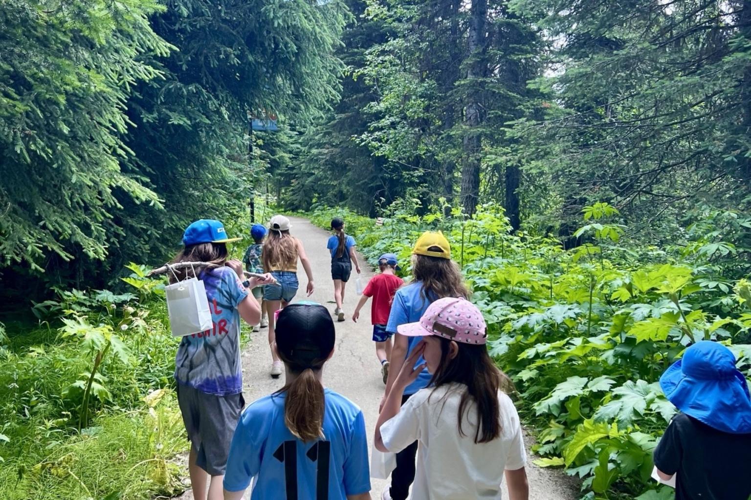 Children walking on a forest trail surrounded by lush greenery.
