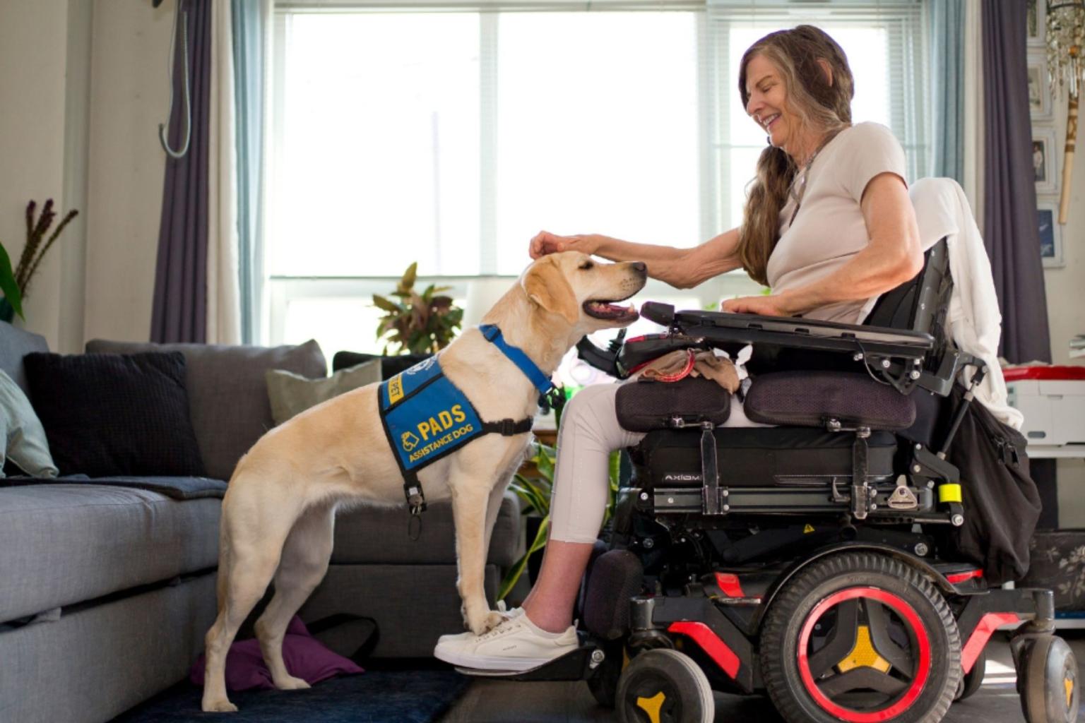 PADS Service Dogs help with mobility.