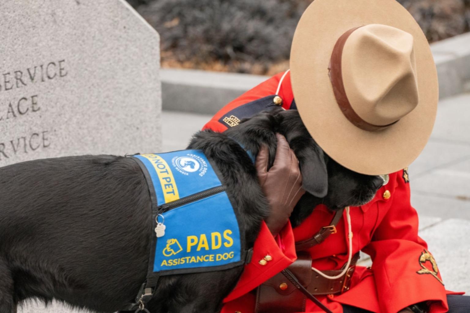 PADS Service Dogs provide companionship and support.