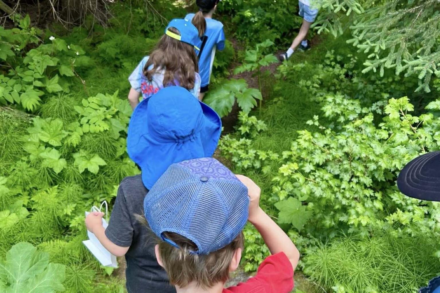 Children walking in a lush, green forest trail.