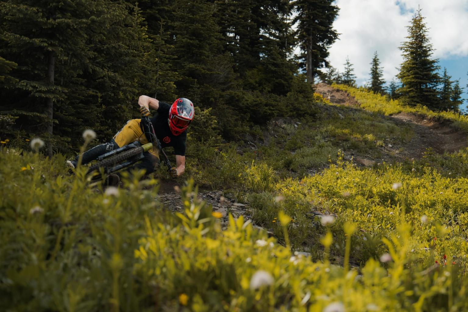 Mountain biker in yellow riding through a forest trail amidst greenery.