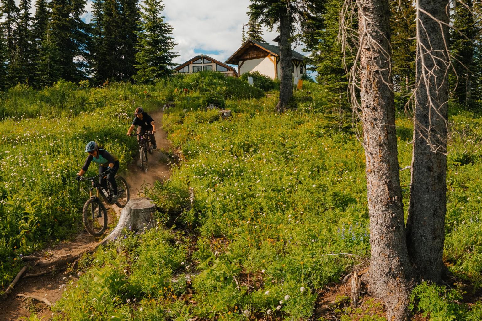 Cyclists riding through a lush, green forest trail with cabins in the background.