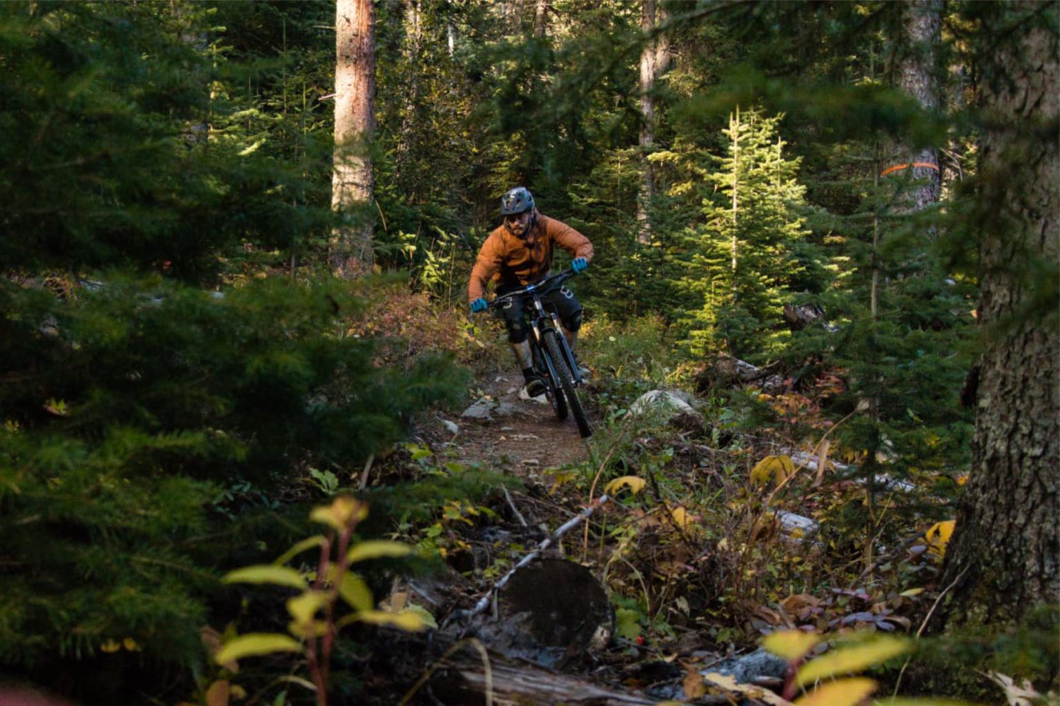 Mountain biker in an orange jacket rides through a dense, sunlit forest trail.