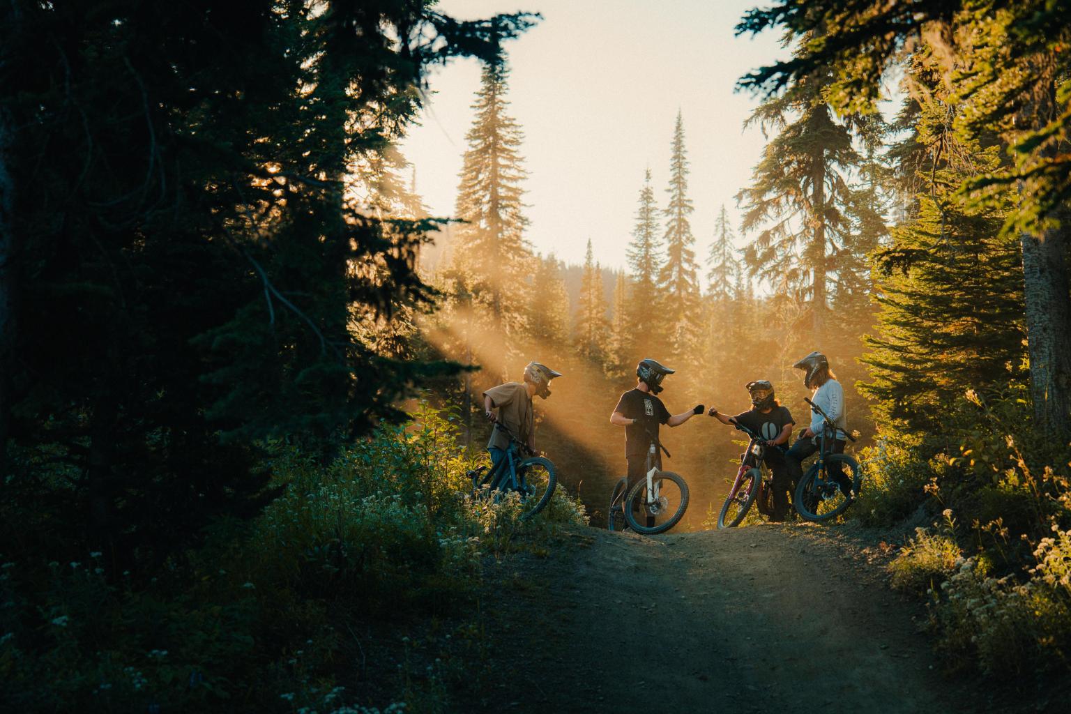 Four cyclists pause on a sunlit forest trail.