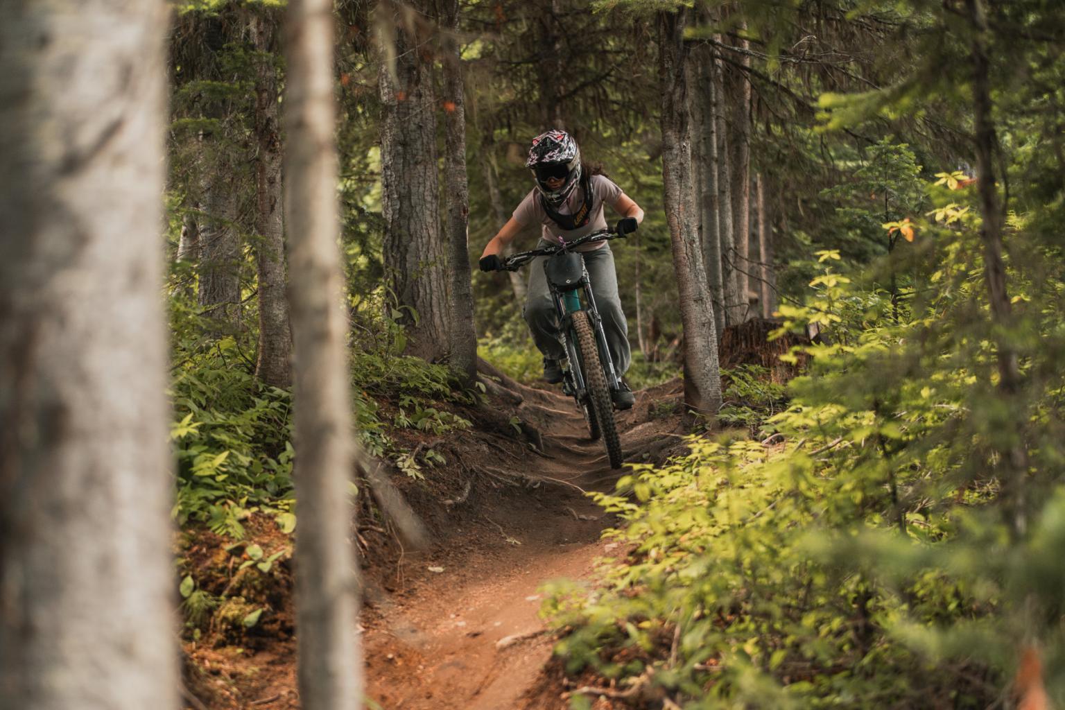 Mountain biker riding through a forest trail.