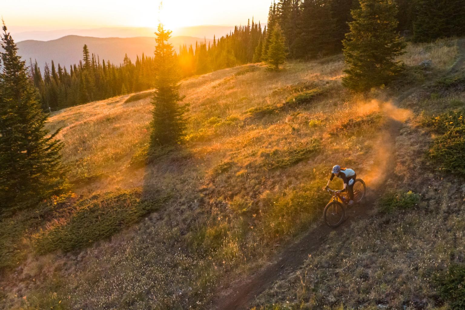 Mountain biker on a grassy trail at sunset, surrounded by pine trees.
