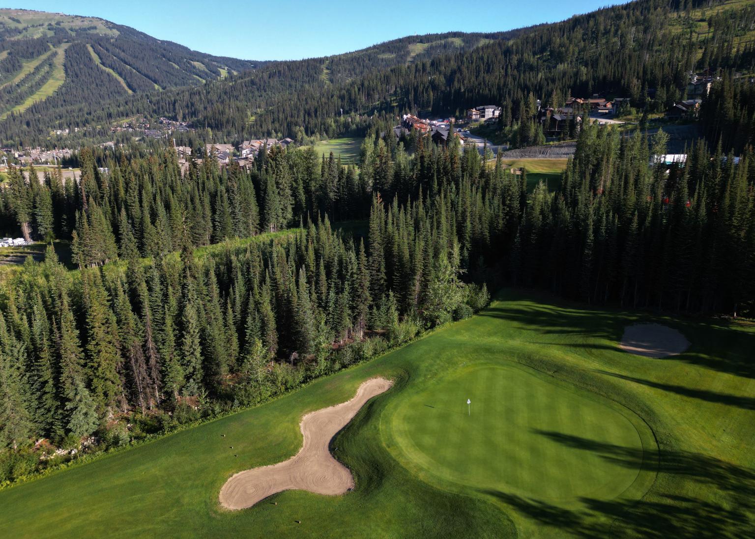 Aerial view of a golf course surrounded by evergreen trees and mountains.