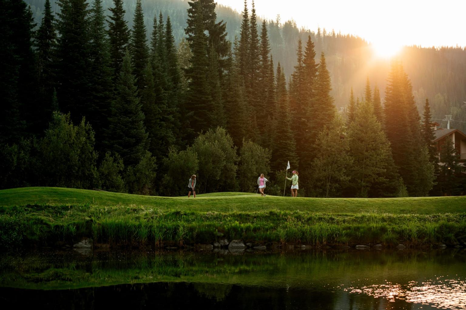Three people walking on grassy field at sunset near tall pine trees.
