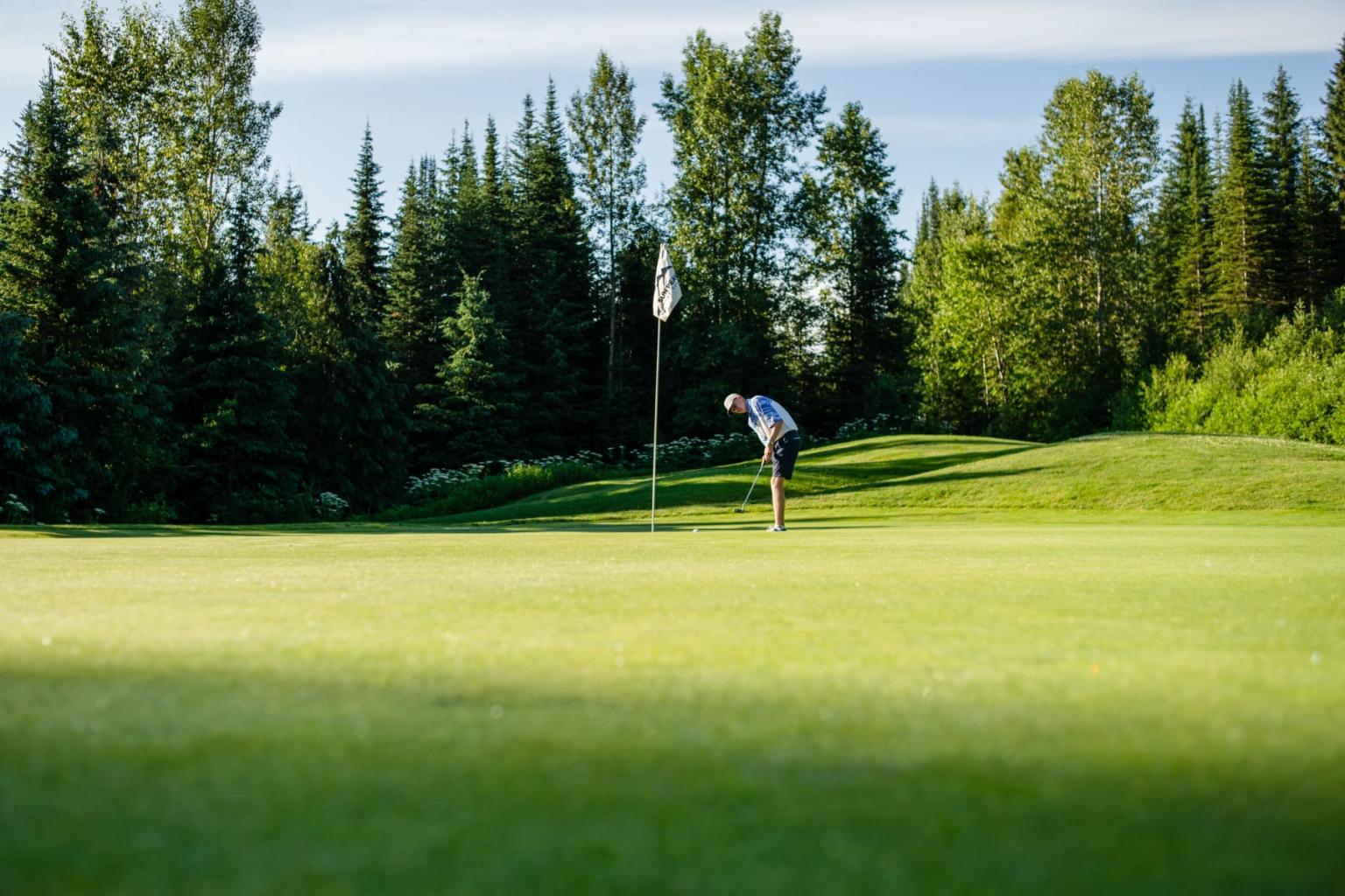 Golfer putting on a lush, sunlit green surrounded by trees.