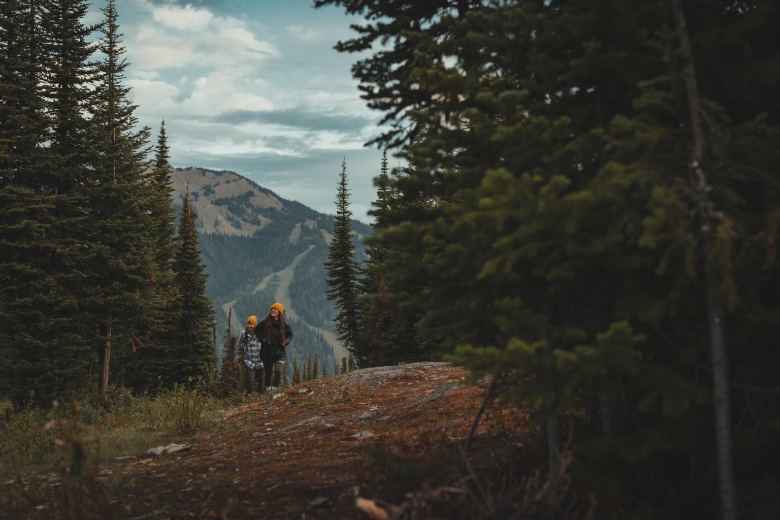 Two hikers on a forest trail with mountains in the distance.