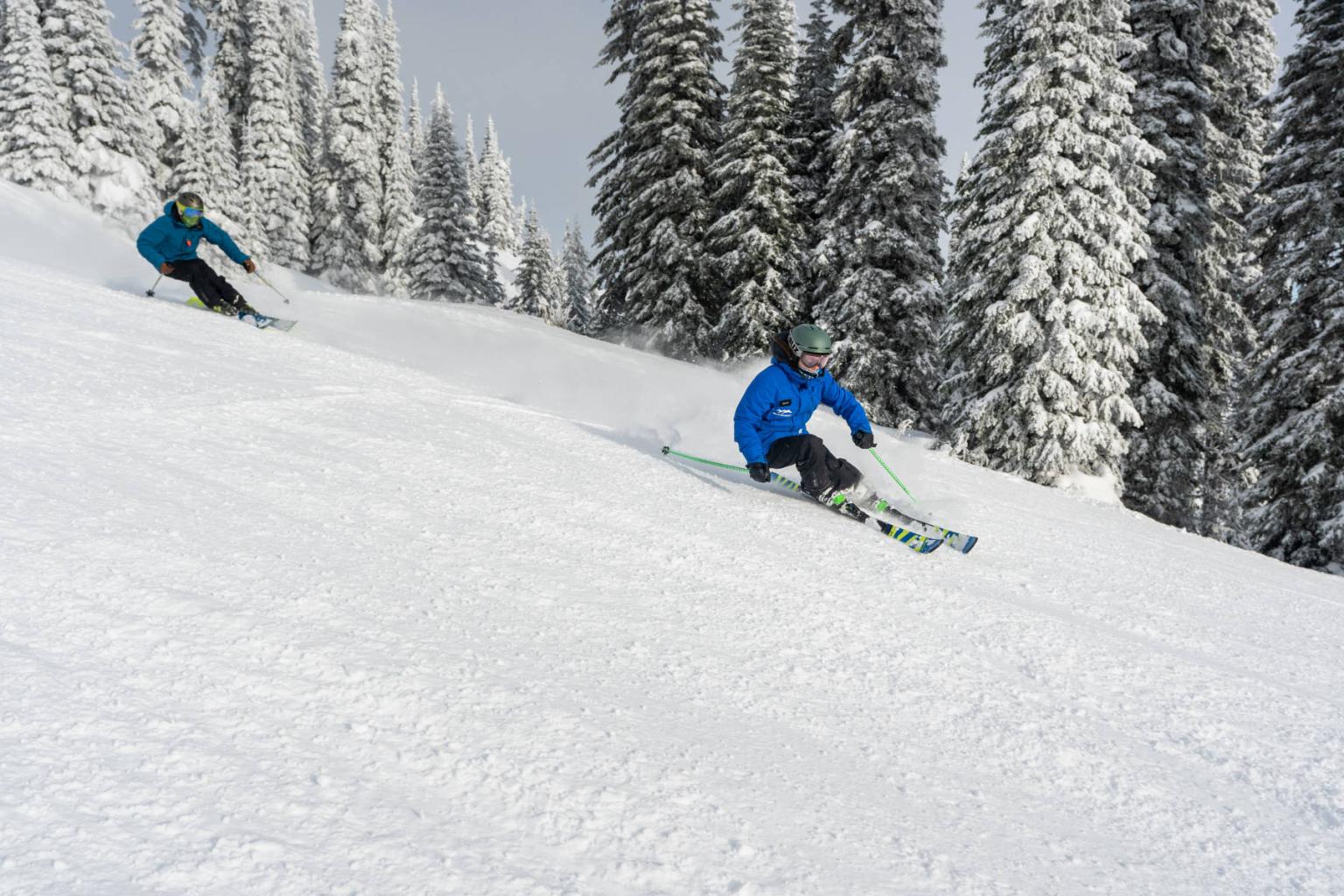 Skiers in blue jackets descend a snowy slope lined with pine trees.