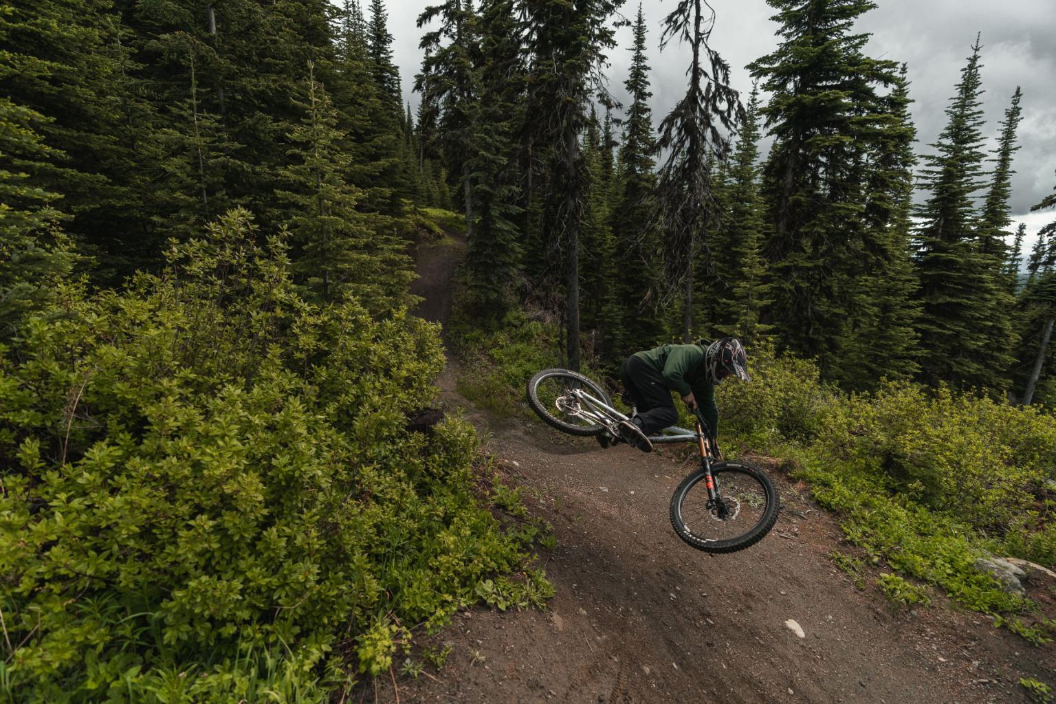 Mountain biker falls on a forest trail, lush greenery surrounds.