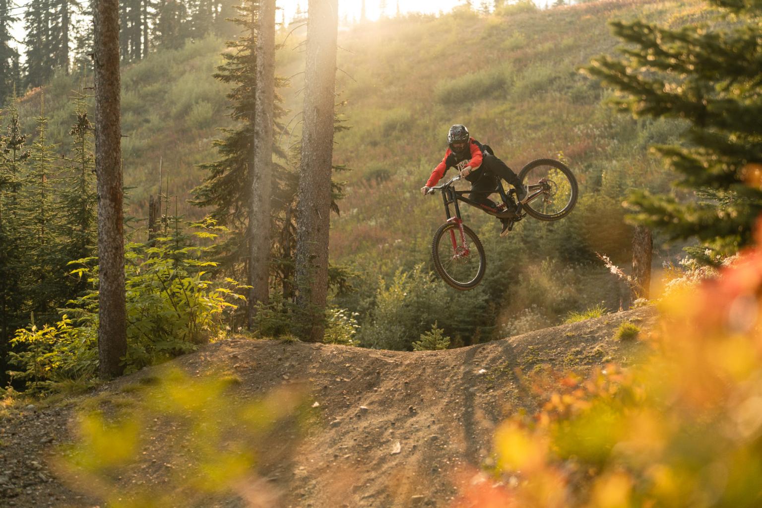 Mountain biker jumps on a forest trail in sunset.