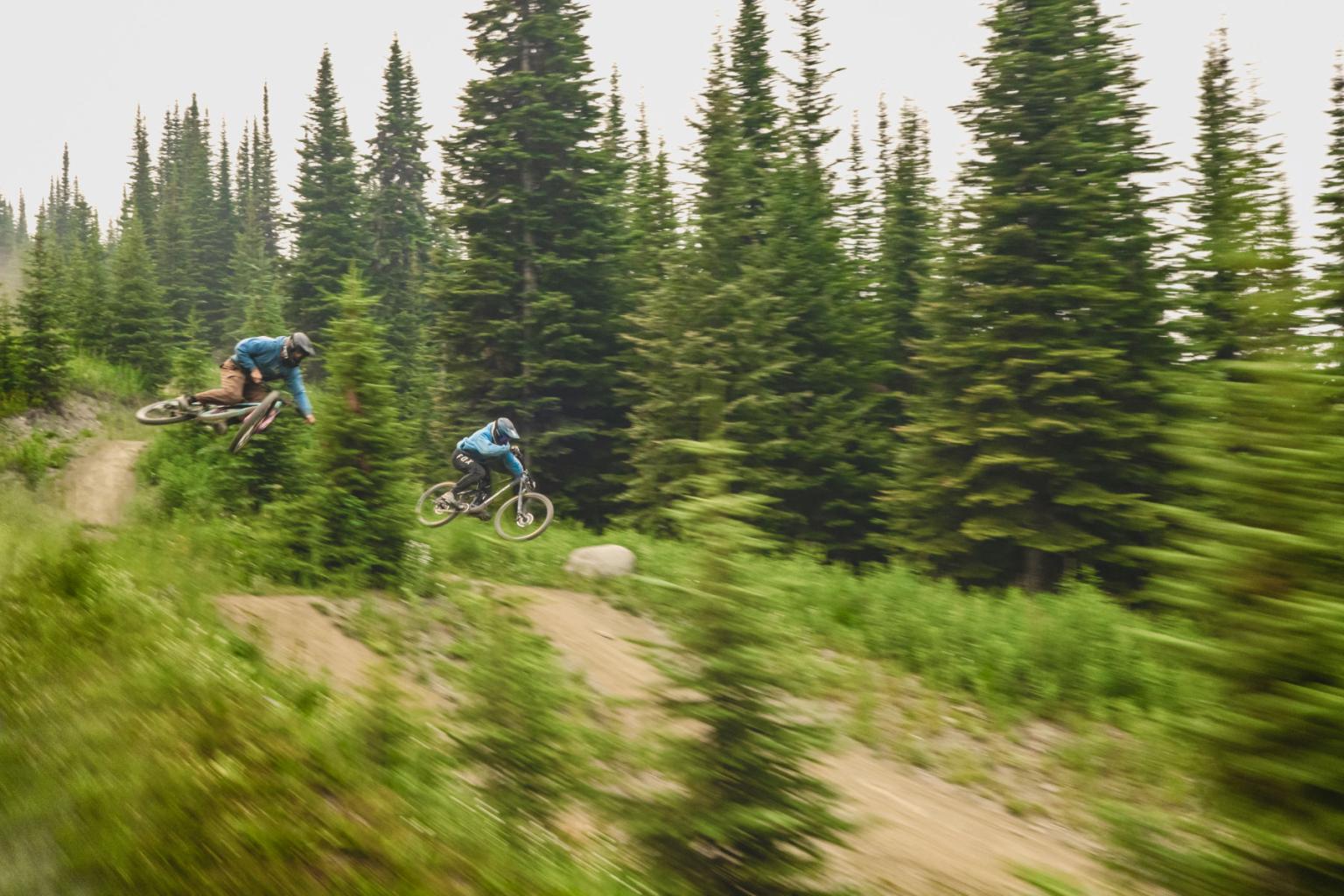 Cyclists riding on a forest trail surrounded by tall pine trees.