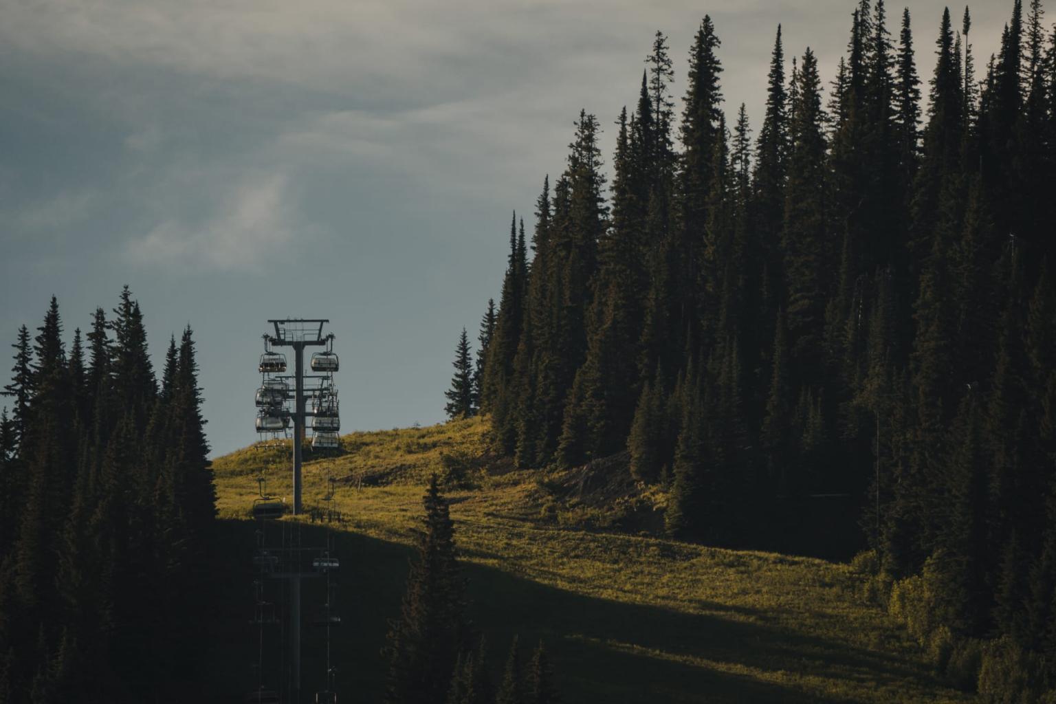 Chairlift on a grassy hill, surrounded by tall pine trees under a cloudy sky.
