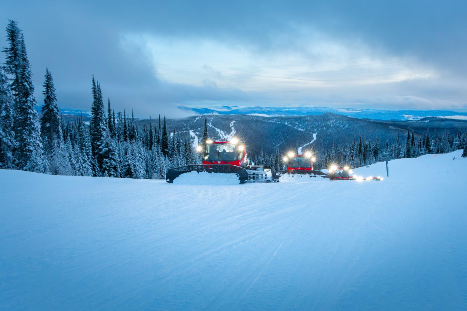Snow-covered landscape with red snowplows and pine trees.