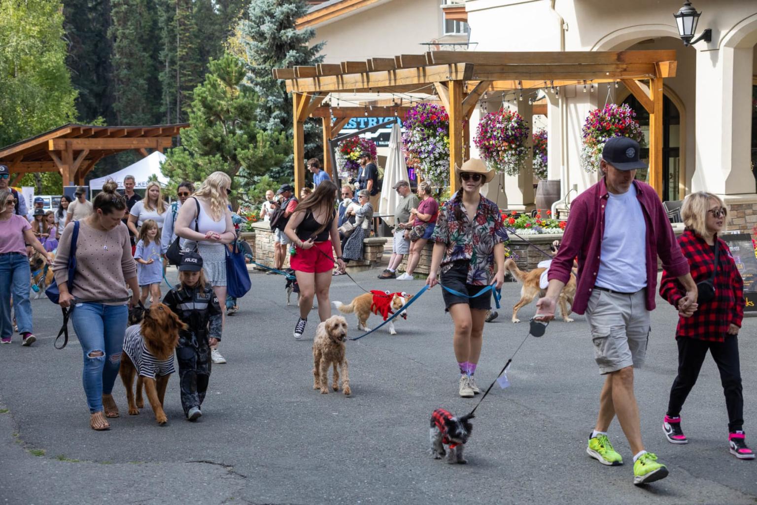 People walking dogs on a sunny street lined with trees and flowers.