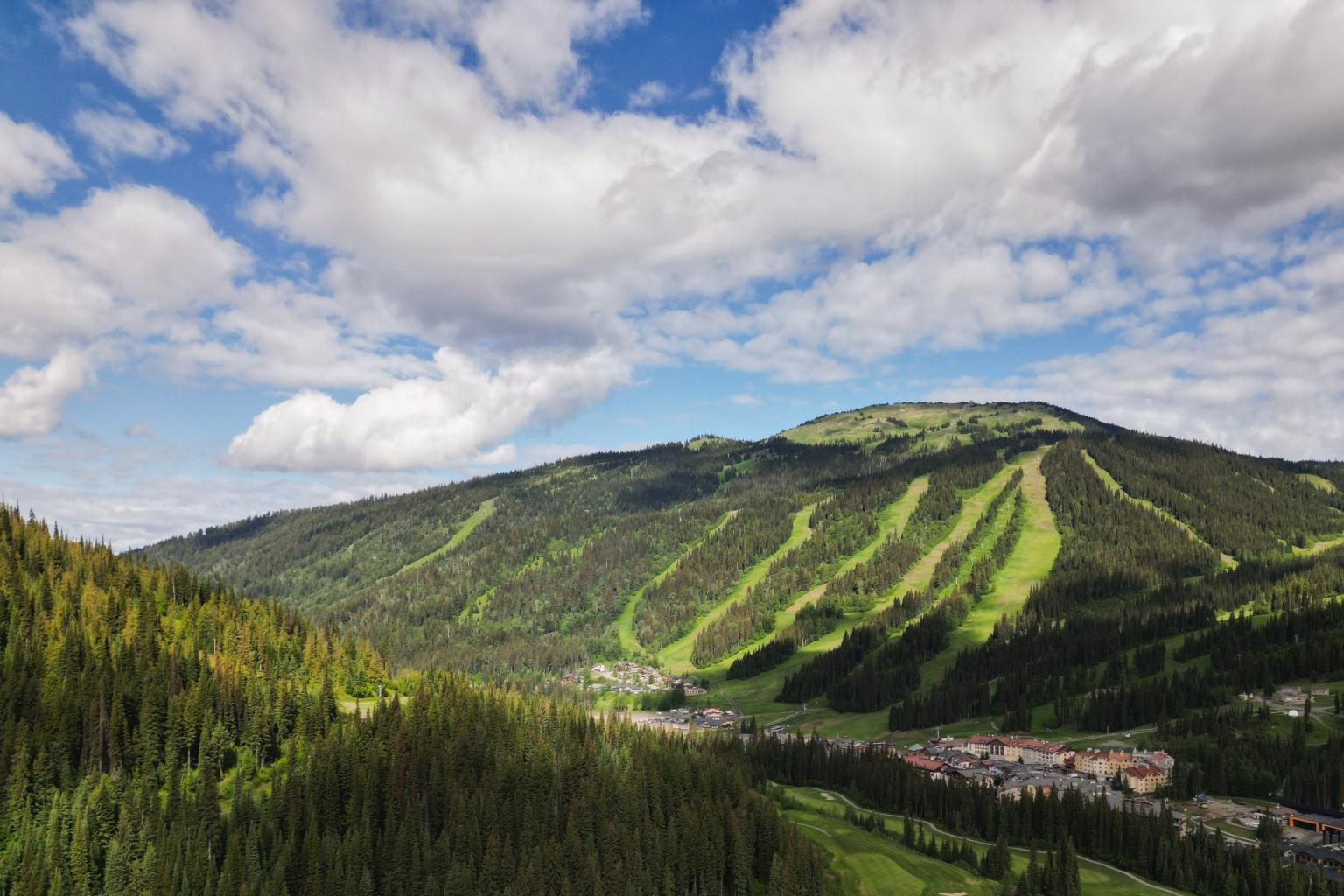 Mountain with ski slopes, green forest, and cloudy blue sky.