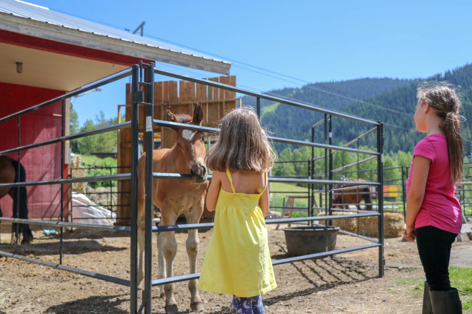 Two girls at a farm, observing a horse in a fenced area under a blue sky.