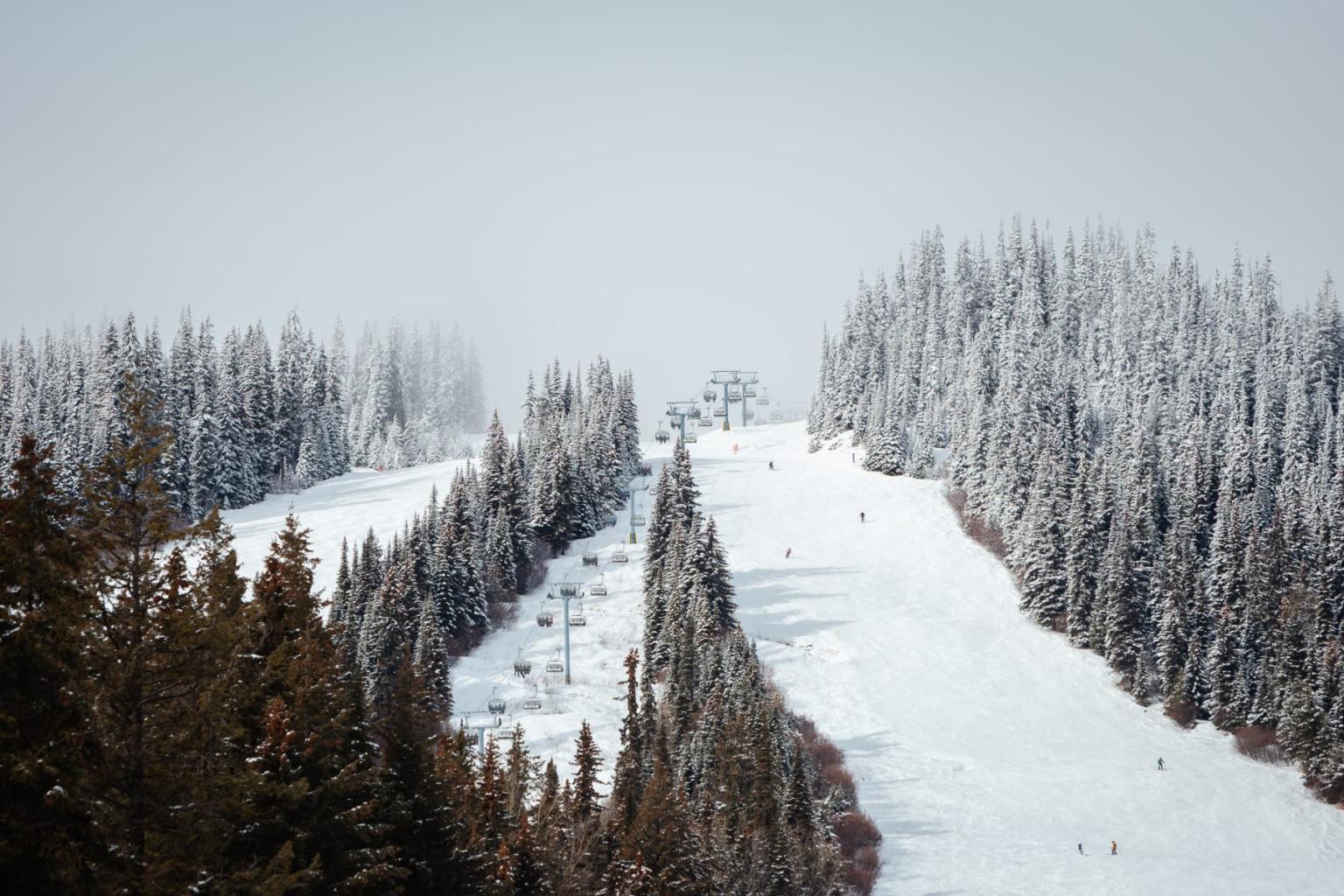 Snowy ski slopes amidst frosted trees under a cloudy sky.