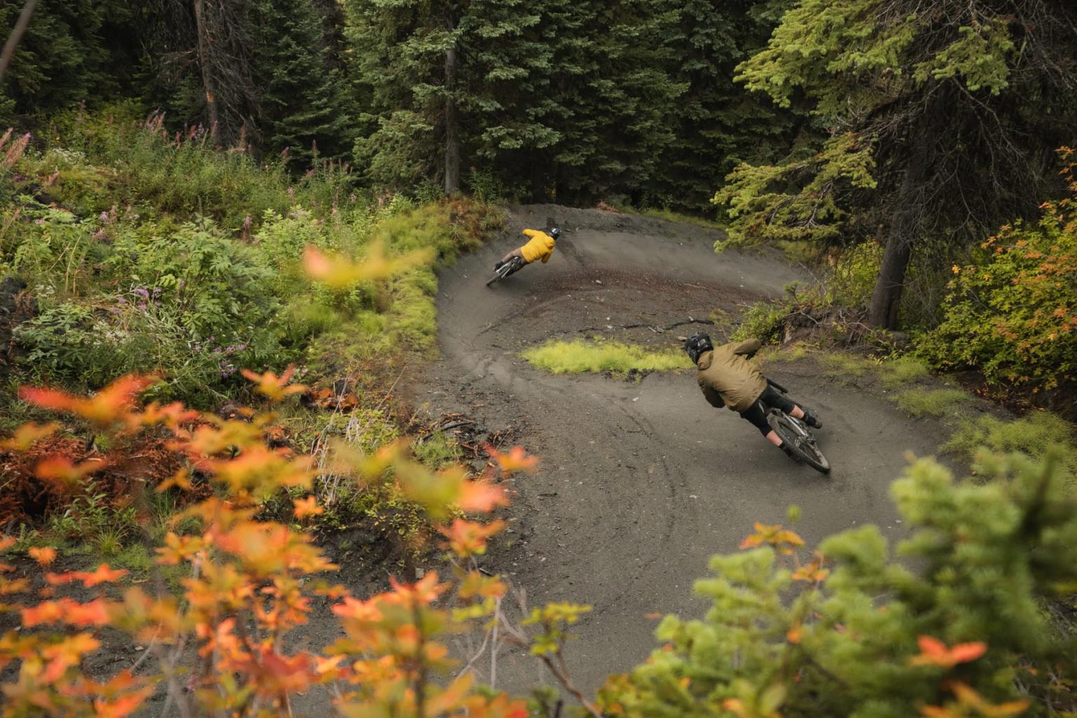 Mountain biker framed by autumn foliage.