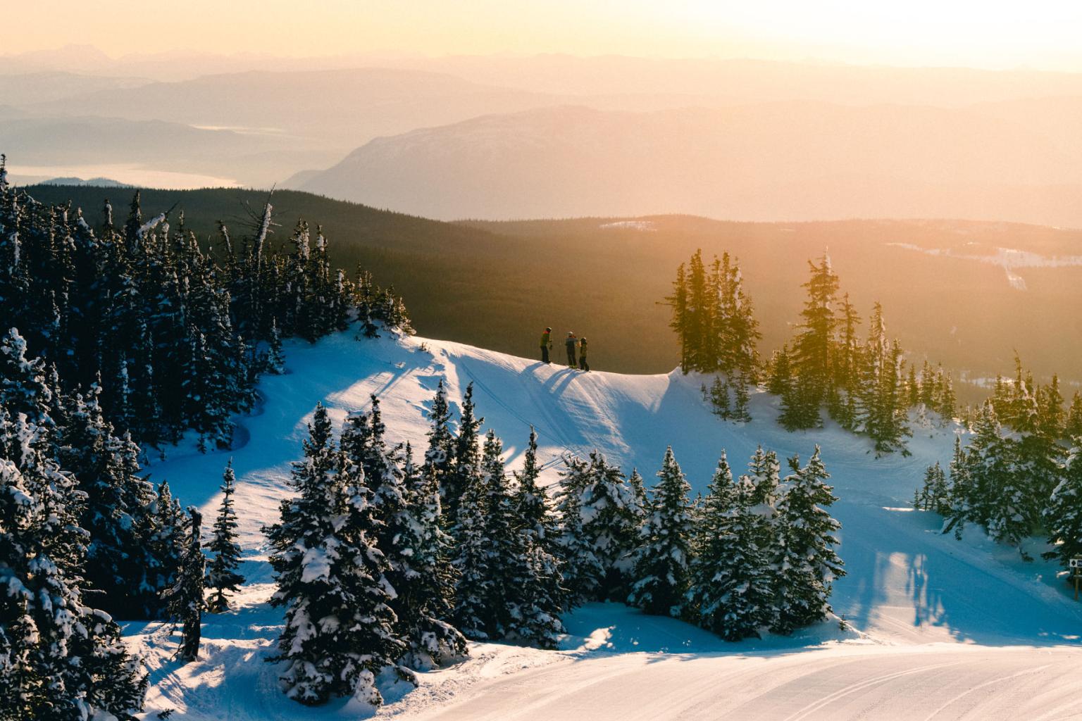 Snow-covered pine forest and rolling hills glowing in golden sunrise.