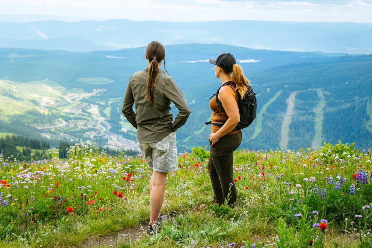 Two hikers overlook a valley from a wildflower-covered mountainside.