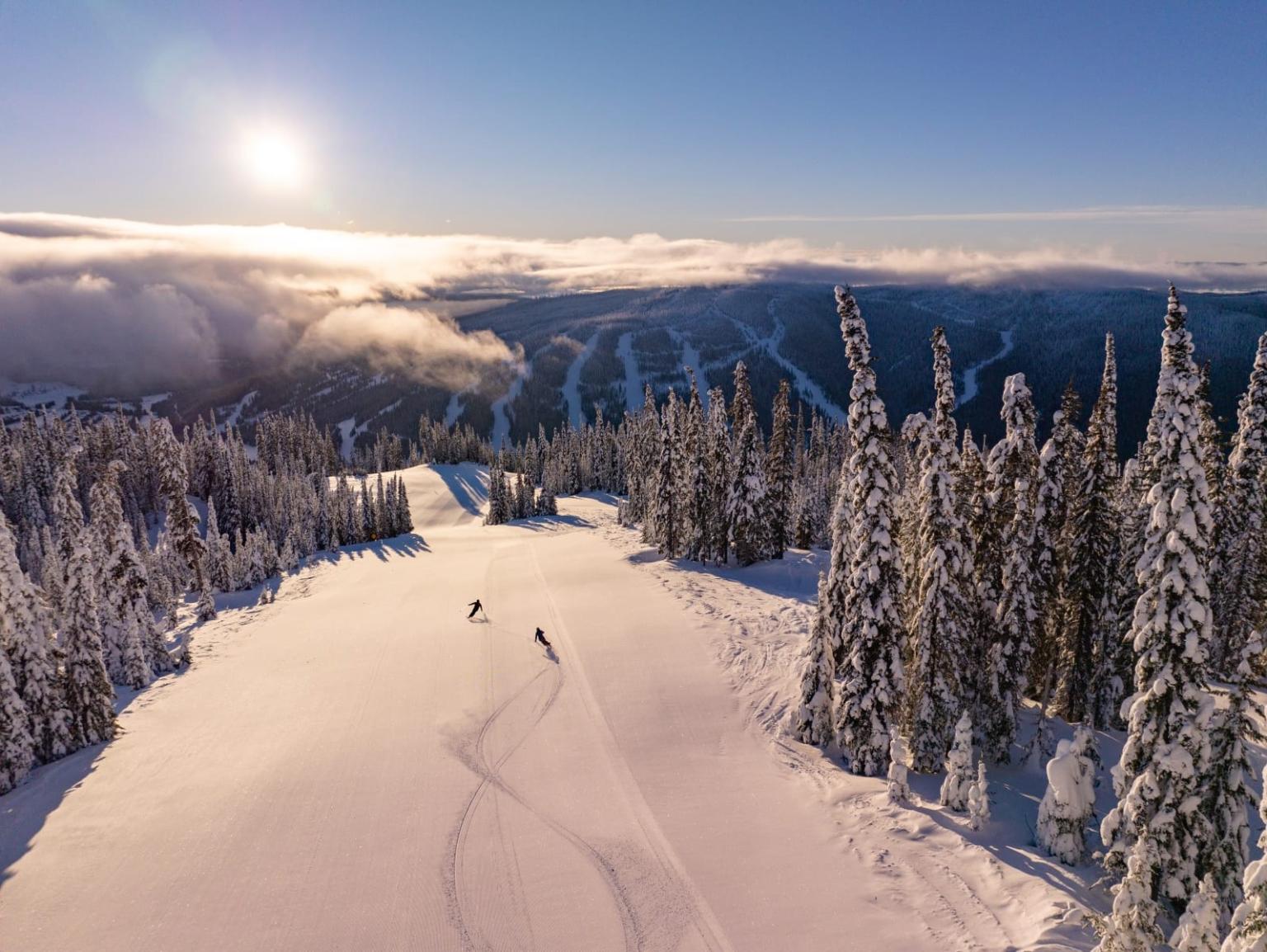 Sunlit snowy ski slope winding through frosted pine forest.