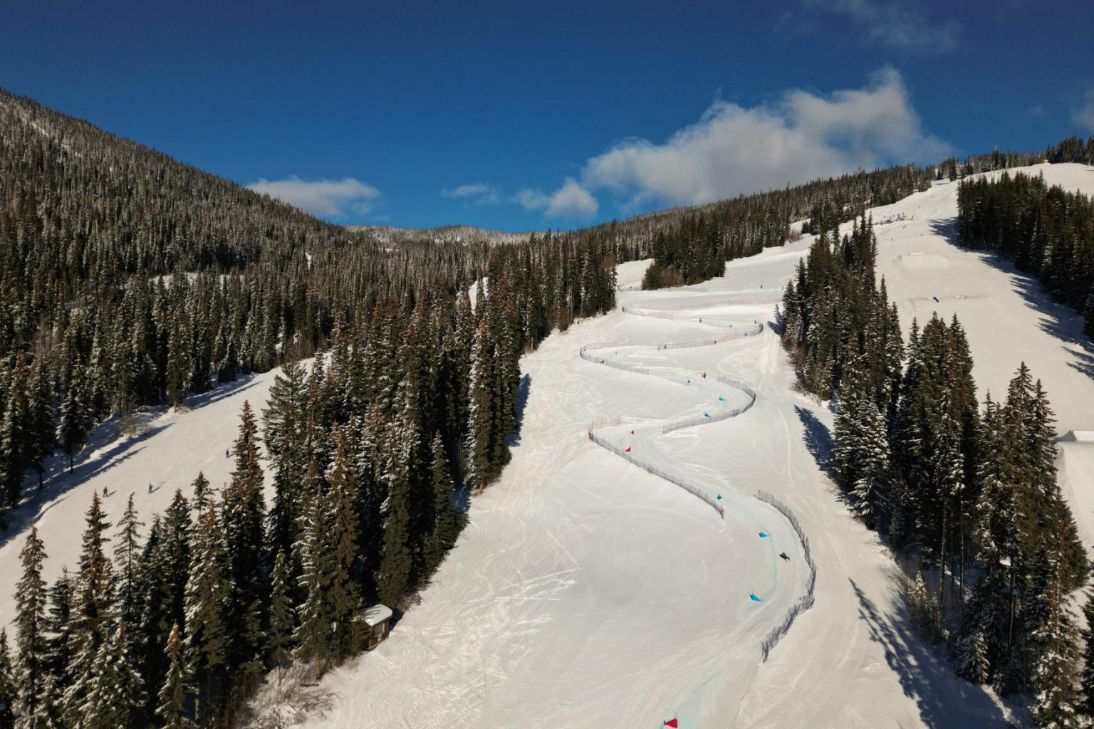 Snow-covered mountain ski run winding between evergreen trees under a blue sky.