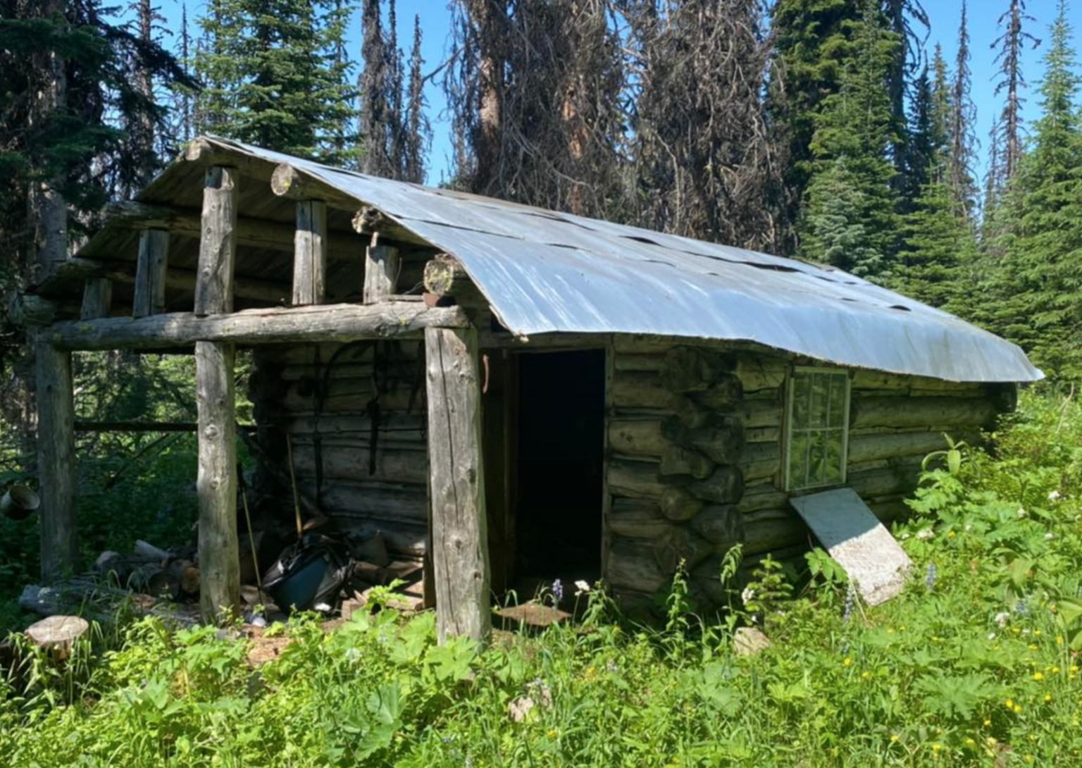 Herder Cabin Exterior in Forest.