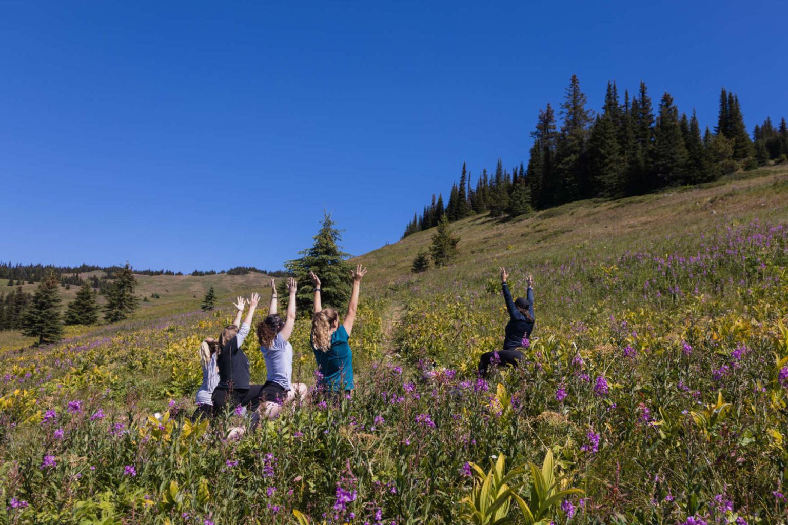 A group of people practicing yoga surrounded by wildflowers