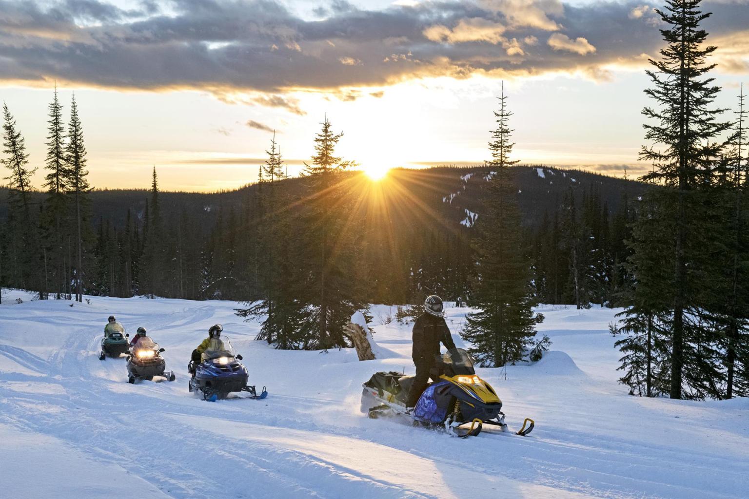 Snowmobiling in the Sun Peaks backcountry