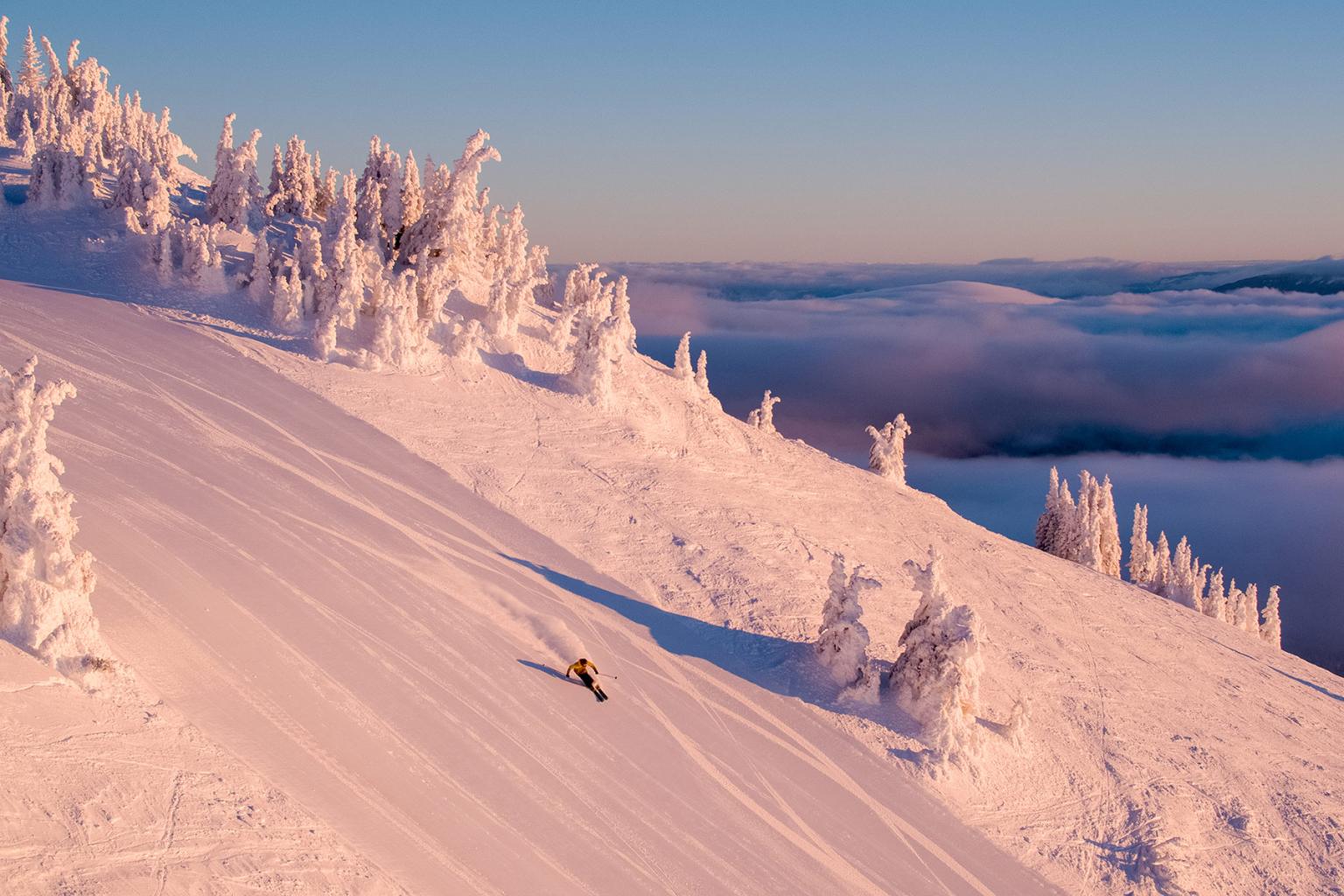 A Day In The Life Of Top Of The World