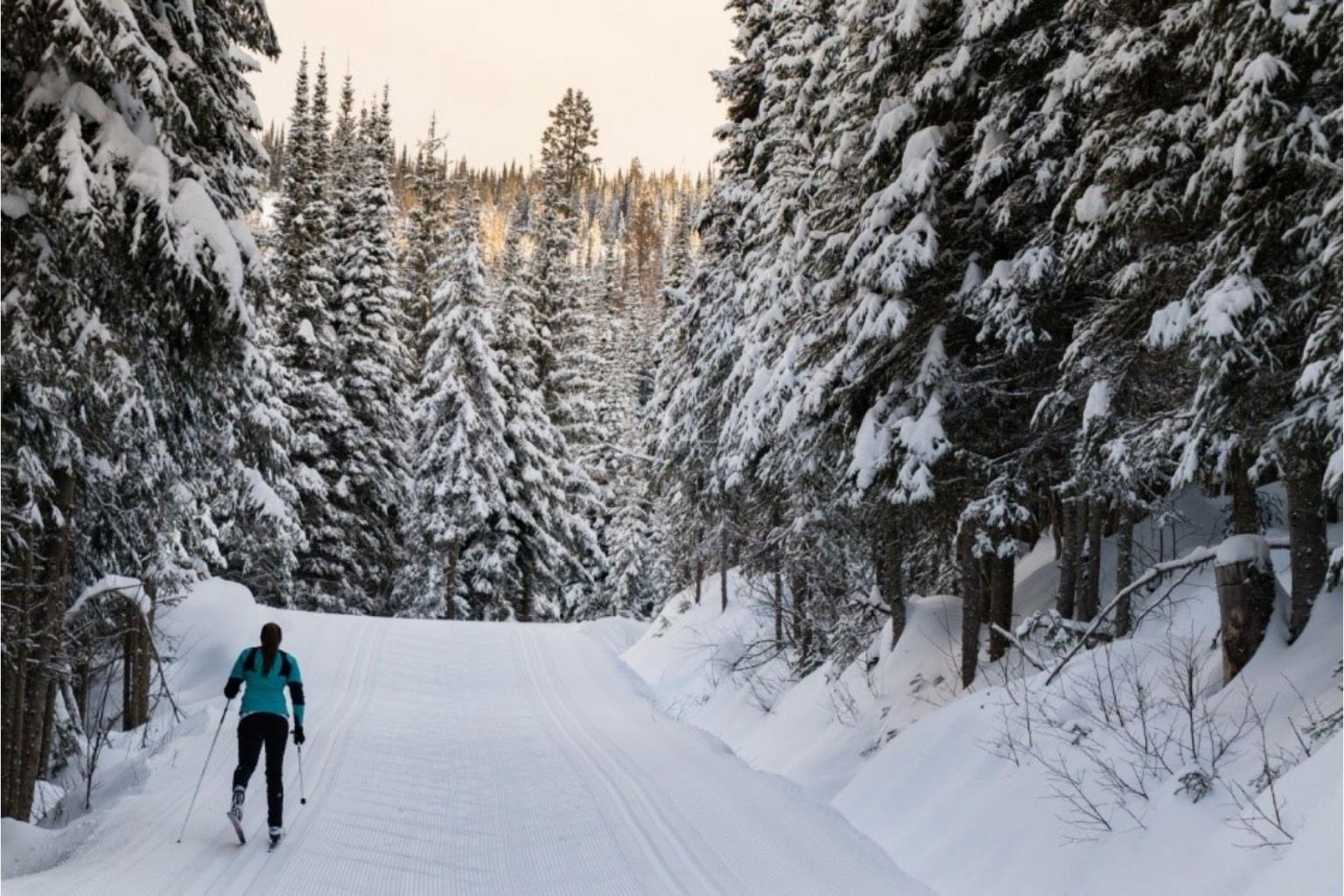 Nordic skier on trail