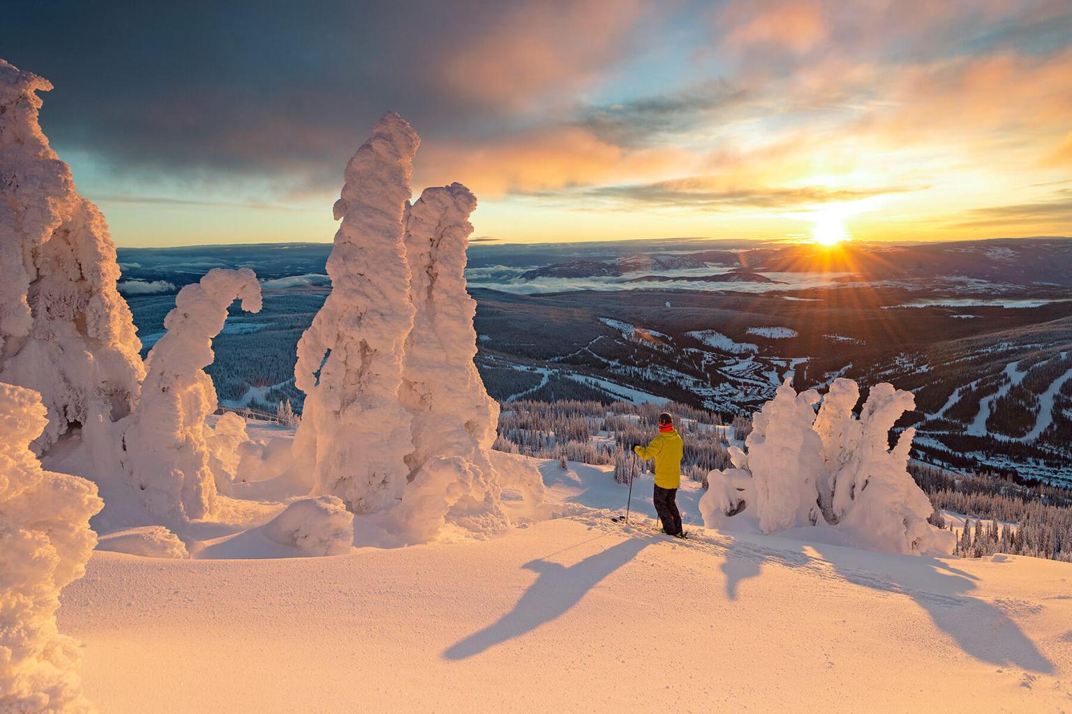 Thank You for the Memories! Winter 2019-20 Photo Recap