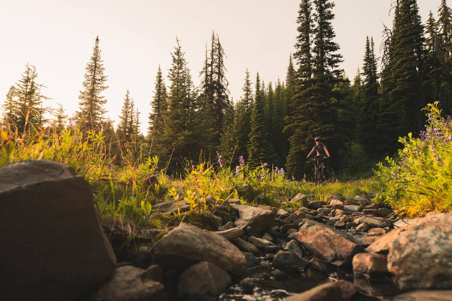 The Peak of the Season: Slow Summer Flow
