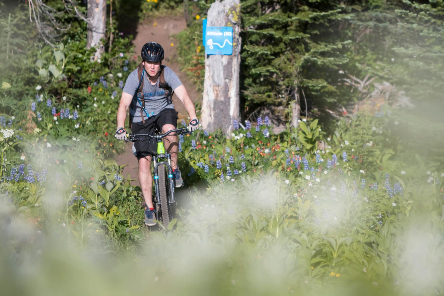 The Sun Peaks Bike Park Has Everything you Need, and More