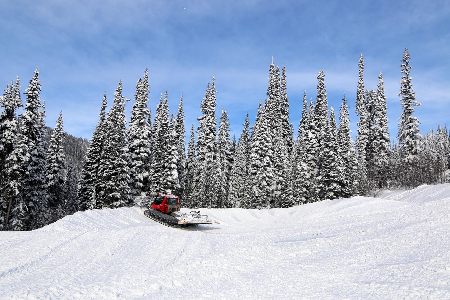 A snow cat groomer shaping the course. Taken February 8.