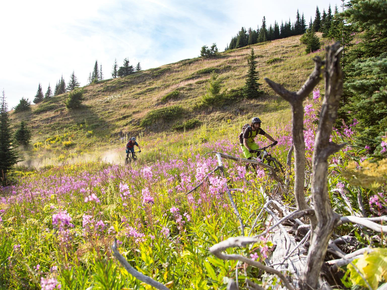 BC Enduro Series
