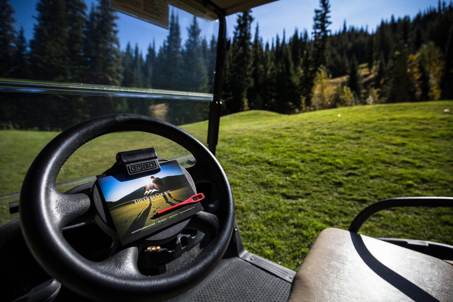 View from inside the golf cart looking out to the golf course with trees in the background