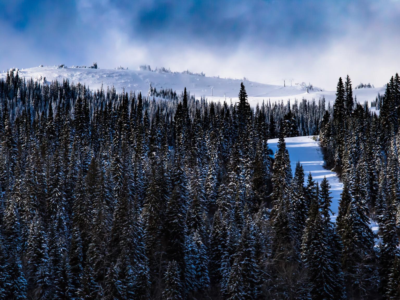 View of the sky. Photo by Cedar Line Creative