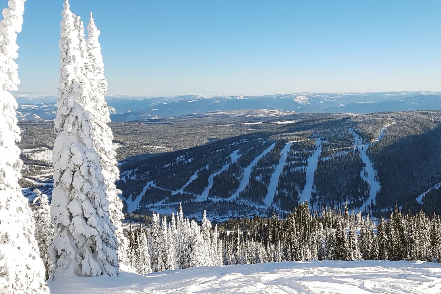 View of Mt. Morrisey