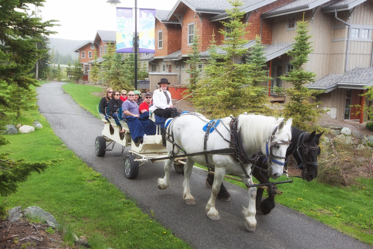 Horse Drawn Carriage