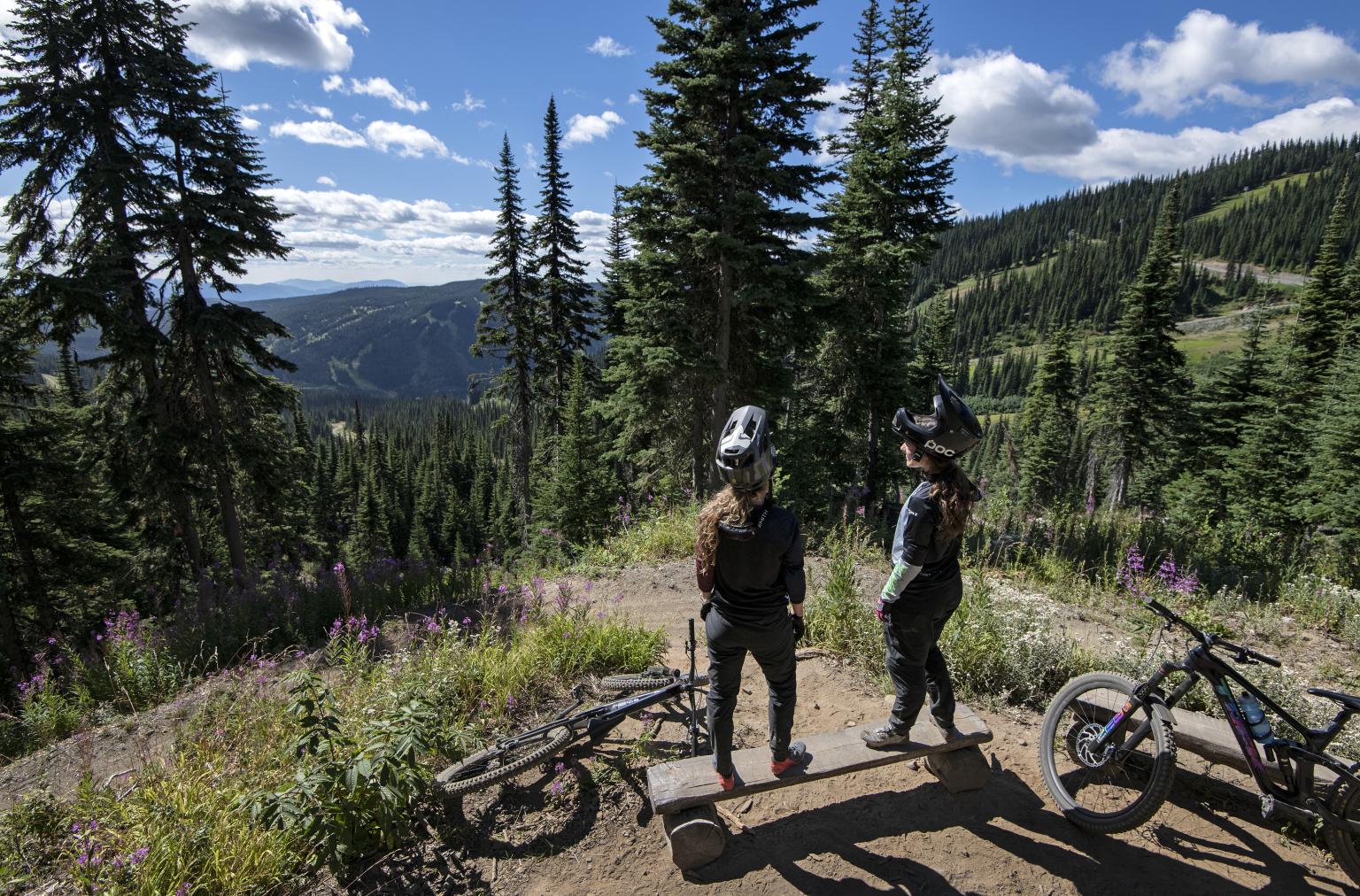 Two bikers standing on a hill and looking out to the mountains surrounded by trees