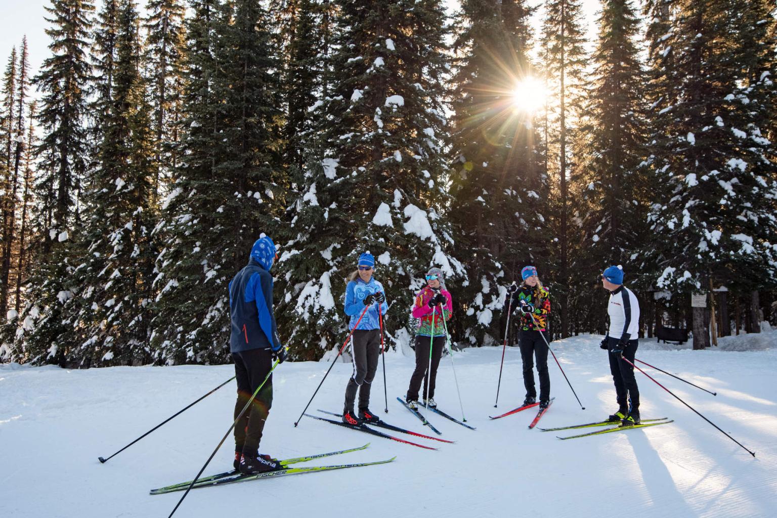 A group of Nordic skiers on a trail with trees around them and the sun in the background