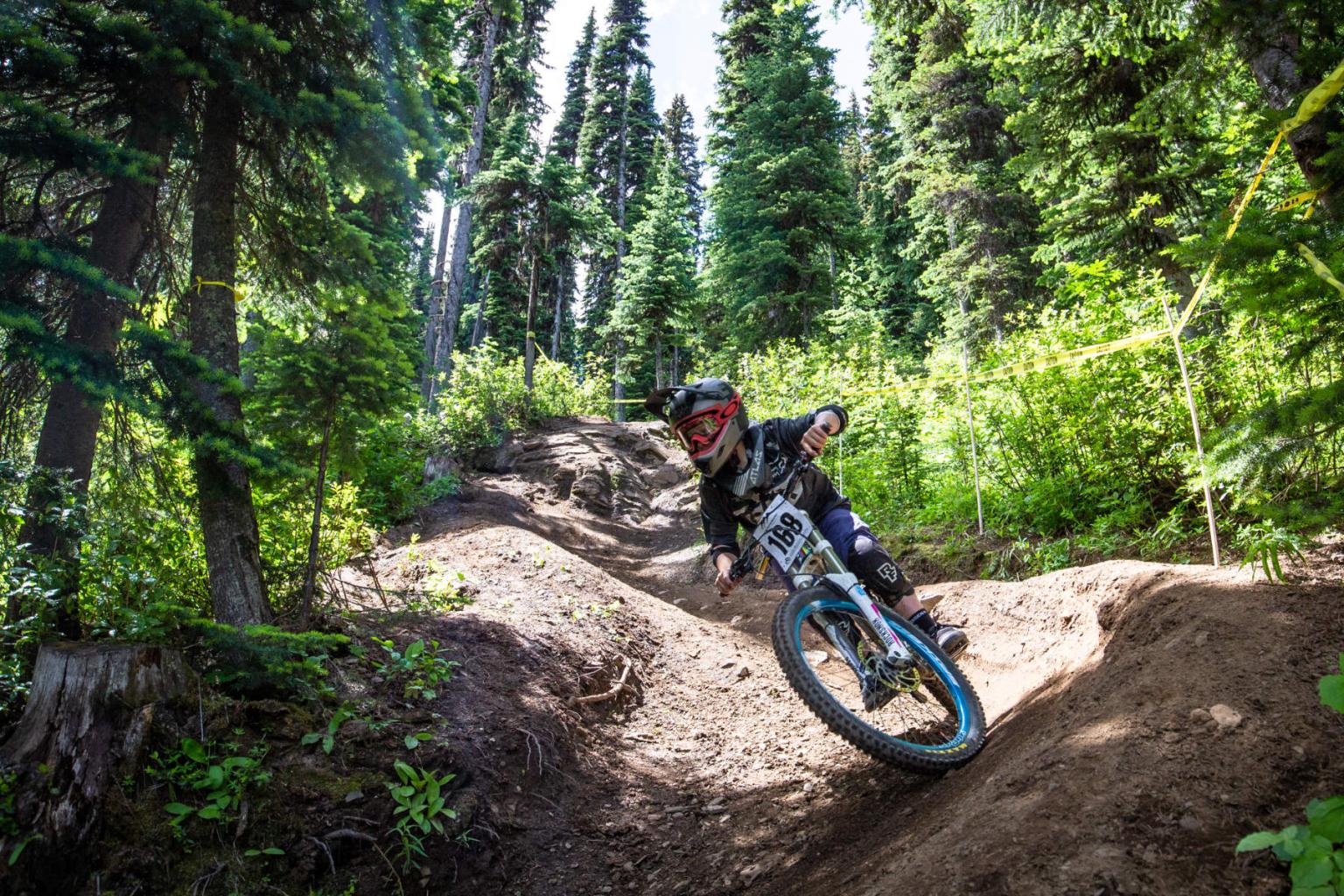 Downhill bikers riding on a burm with lush forest in the background