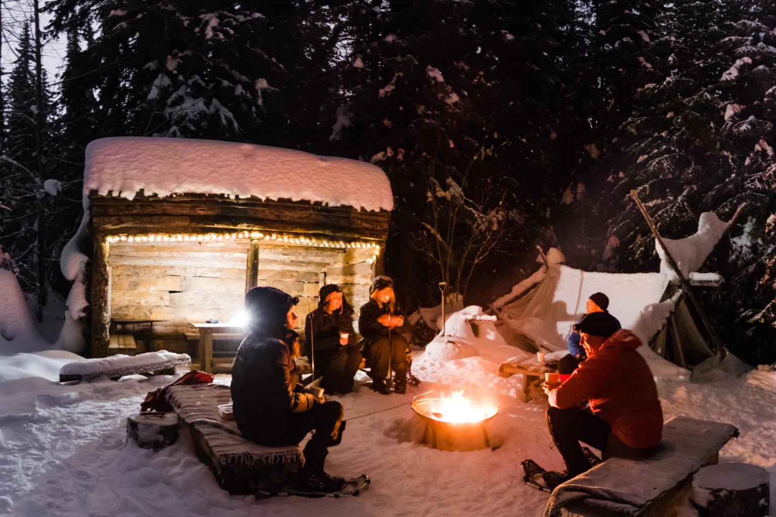 A group of people sitting around a fire at night with trees around them