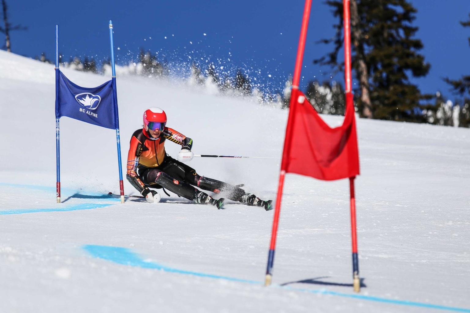 ski racer skiin through race gates