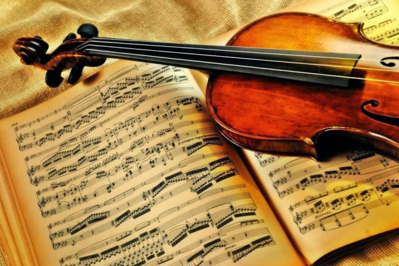 violin